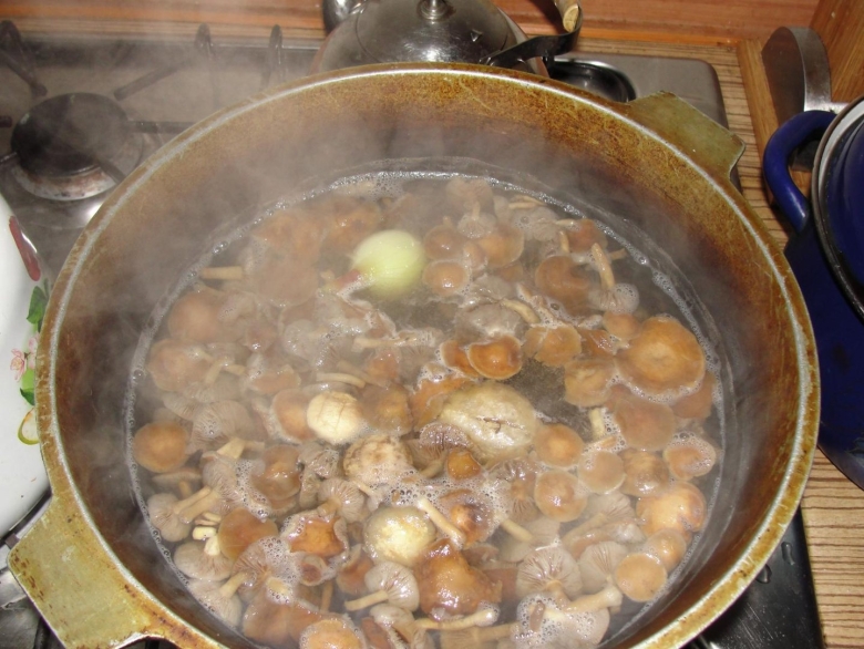 Вареные белые грибы