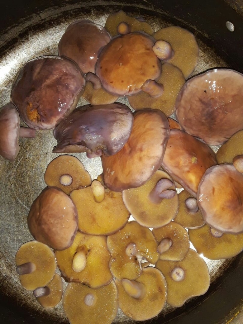 Жареные маслята