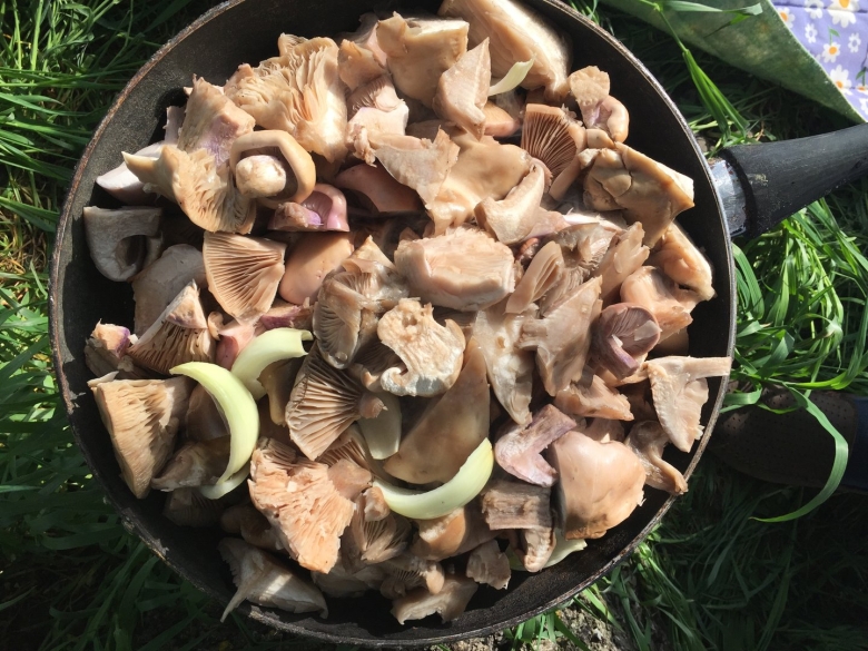 Грибы козляки приготовление