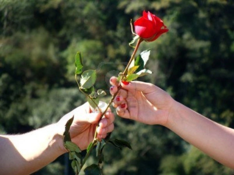 Одна роза в руке
