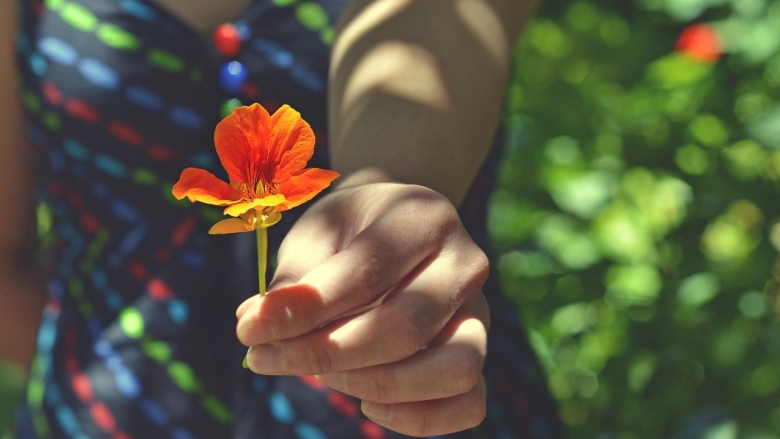 Рука держит цветок