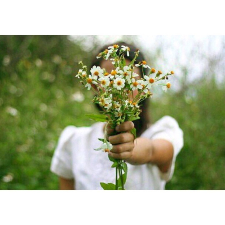 Букет ромашек в руках