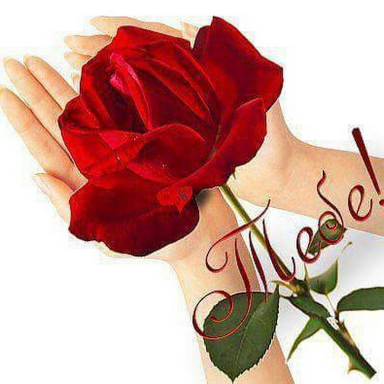 Стикеры цветы для женщины