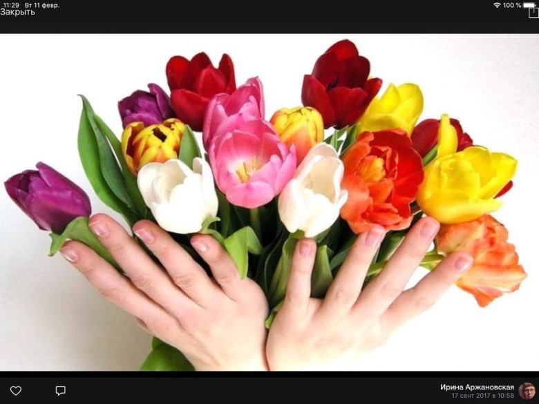 Тюльпаны в руках