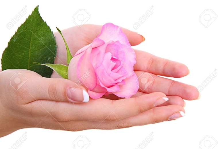 Цветы в ладонях