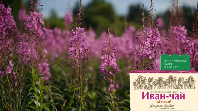 Кипрей узколистный