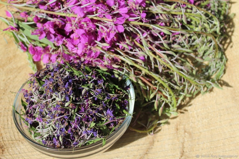 Змееголовник тимьяноцветный