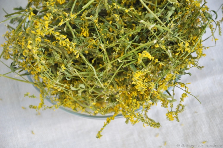 Донник лекарственный сушеный