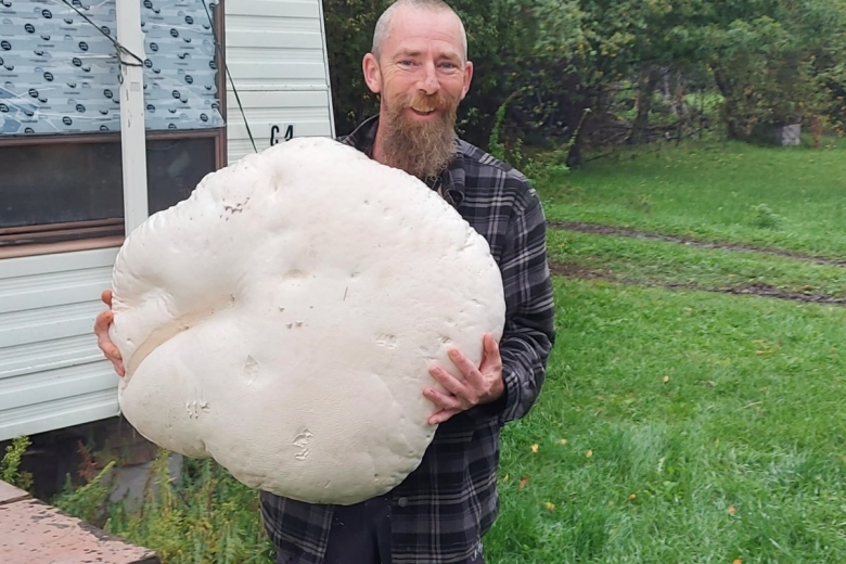 Papa Riceball Mushroom