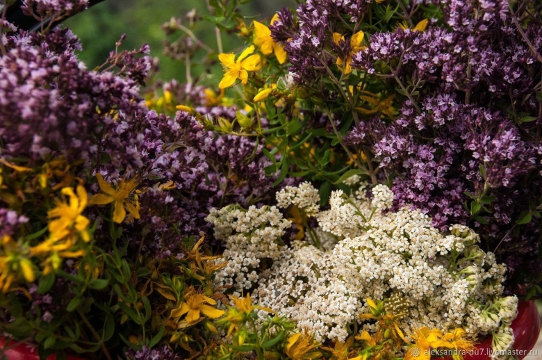 Зверобой мята душица чабрец