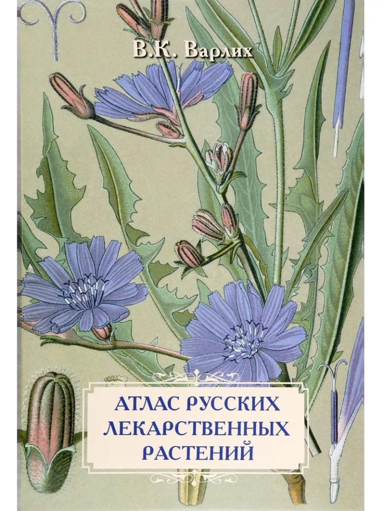Атлас лекарственных растений