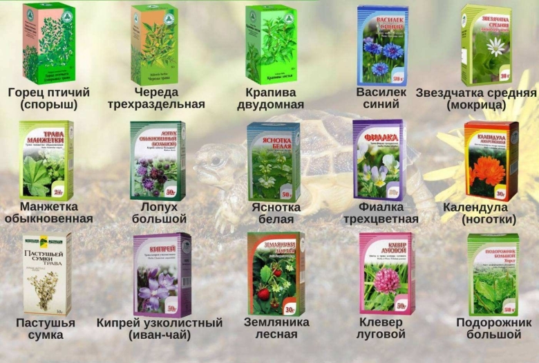 Лекарственные травы аптечные