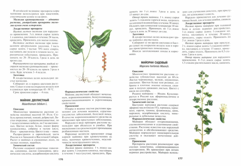 Книга куреннов энциклопедия лекарственных растений