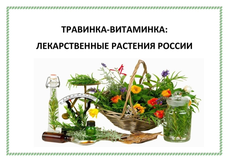 Лекарственные растения россии
