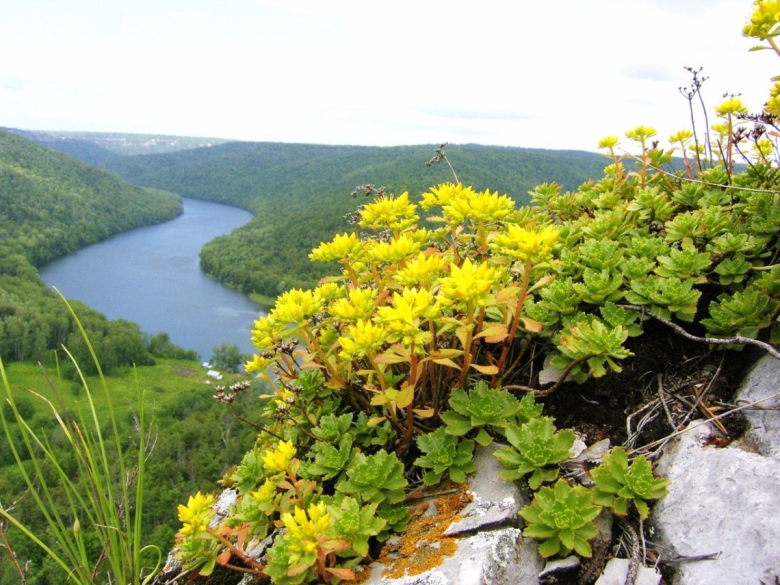 Национальный парк Башкирия фауна