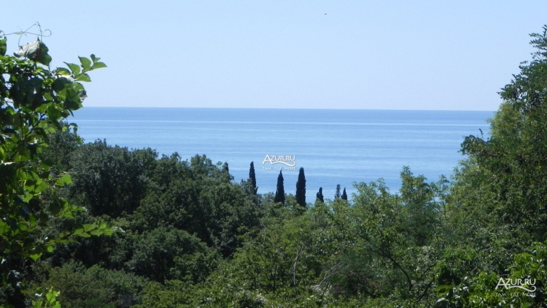 Вишнёвка макопсе