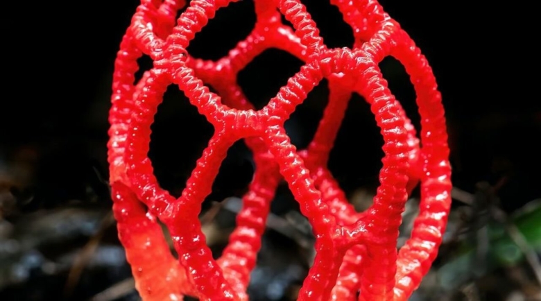 Красный решеточник