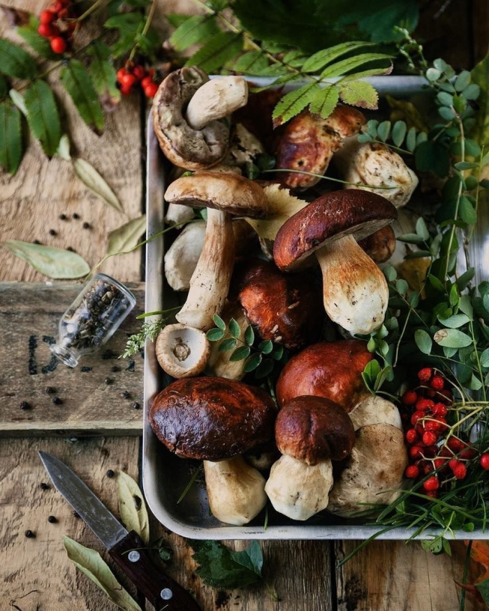 Грибы лесные