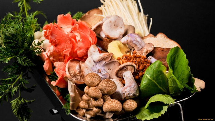 Грибы разные