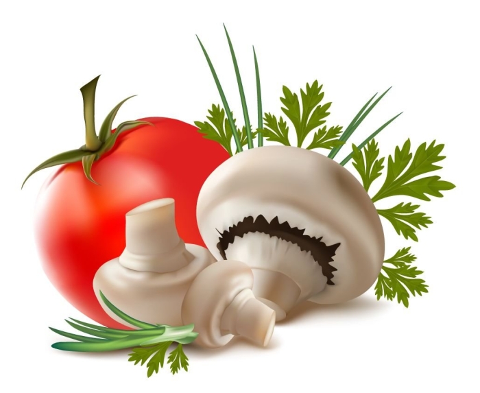 Шампиньон на белом фоне