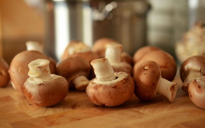 Гриб шампиньон