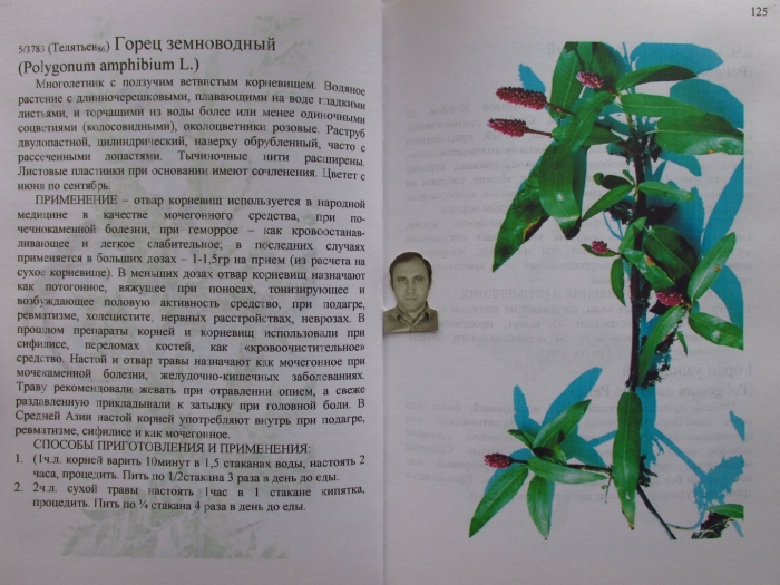 Атлас определитель ядовитые растения 2 класс