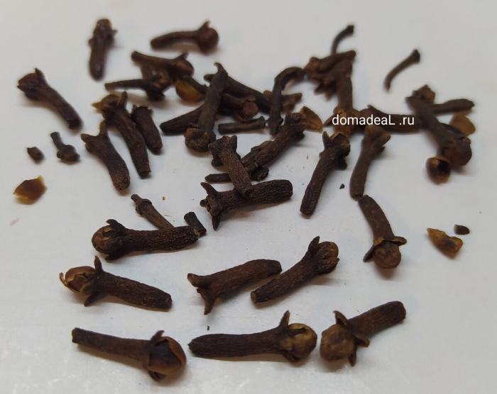 Гвоздика пряность полезные