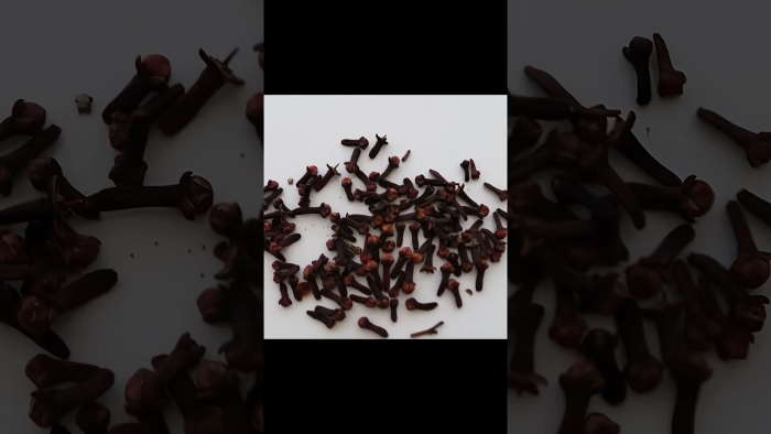 Гвоздика пряность