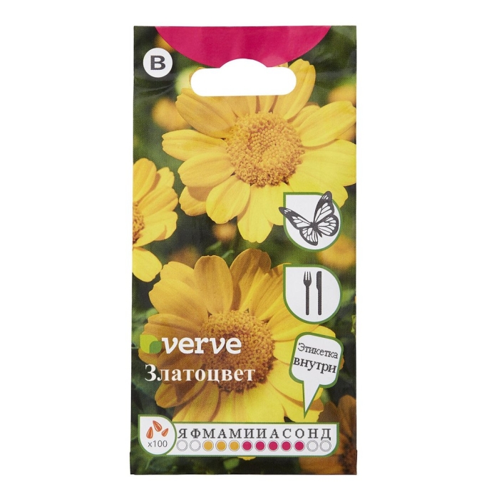 Хризантема болотная голден йеллоу