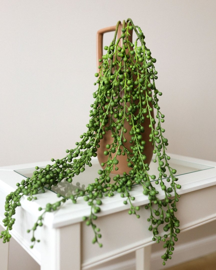 Крестовник роули