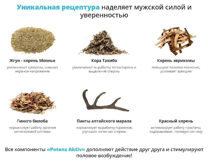 Панты алтайского марала