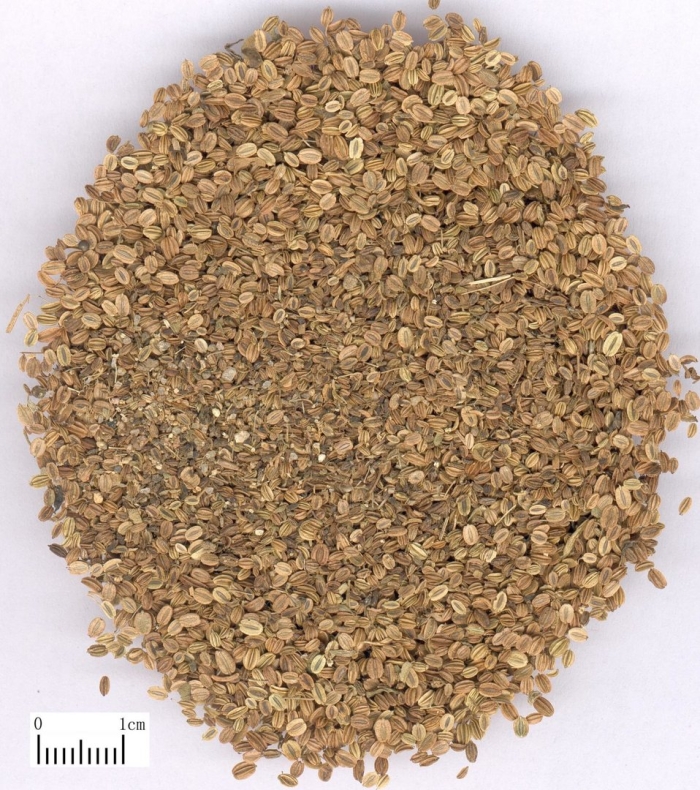 Неочищенные кунжутные семена