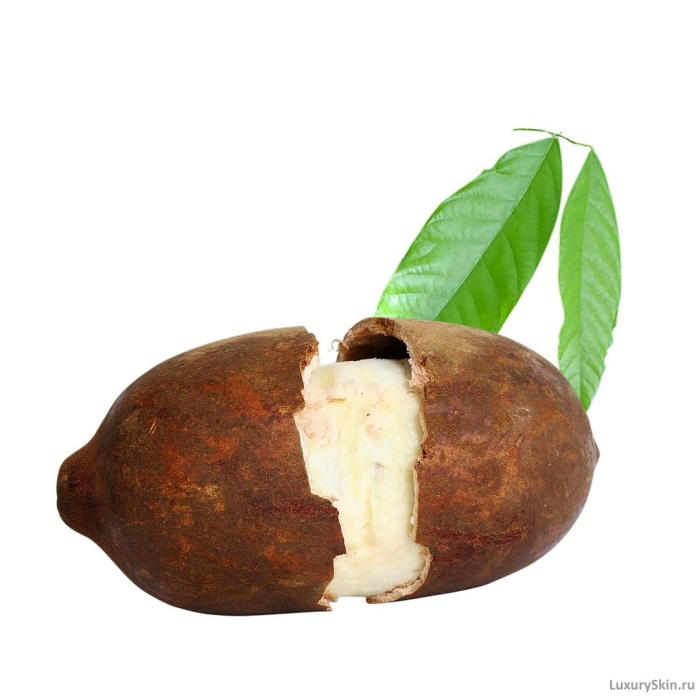 Купуасу (cupuassu)