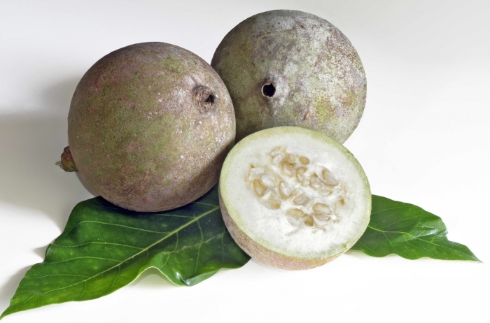 Генипа фрукт