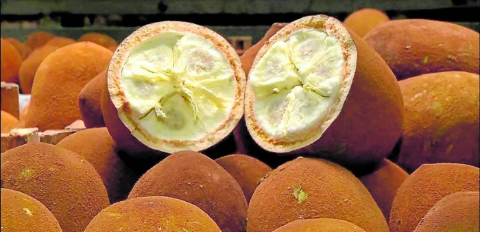 Пепино черимойя купуасу