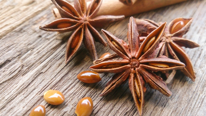 Бадьян - ани́с звёздчатый