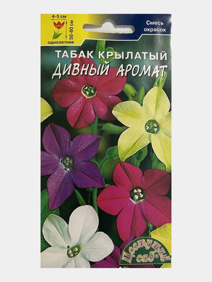 Табак крылатый душистый сенсация