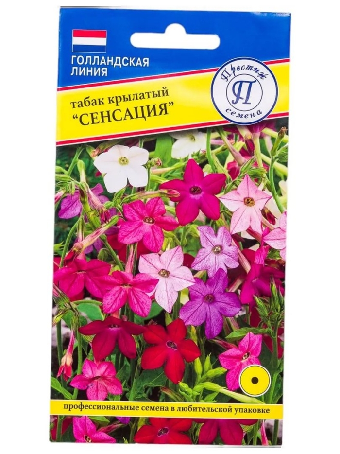 Табак крылатый сенсация