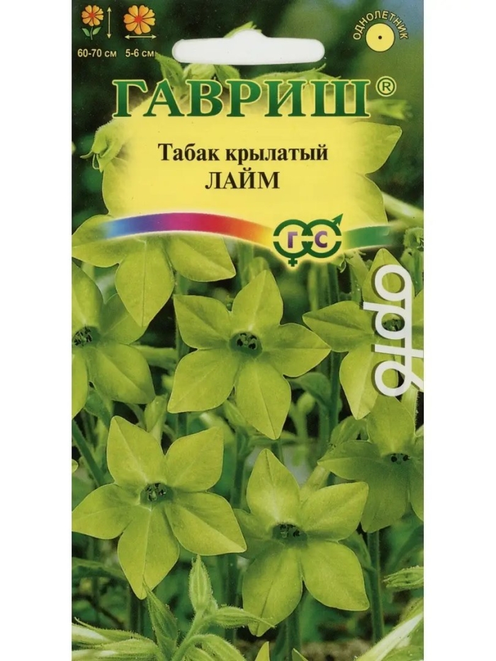 Гавриш табак душистый желтый