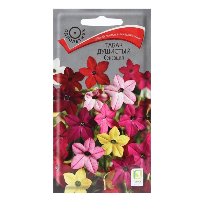 Семена табак душистый