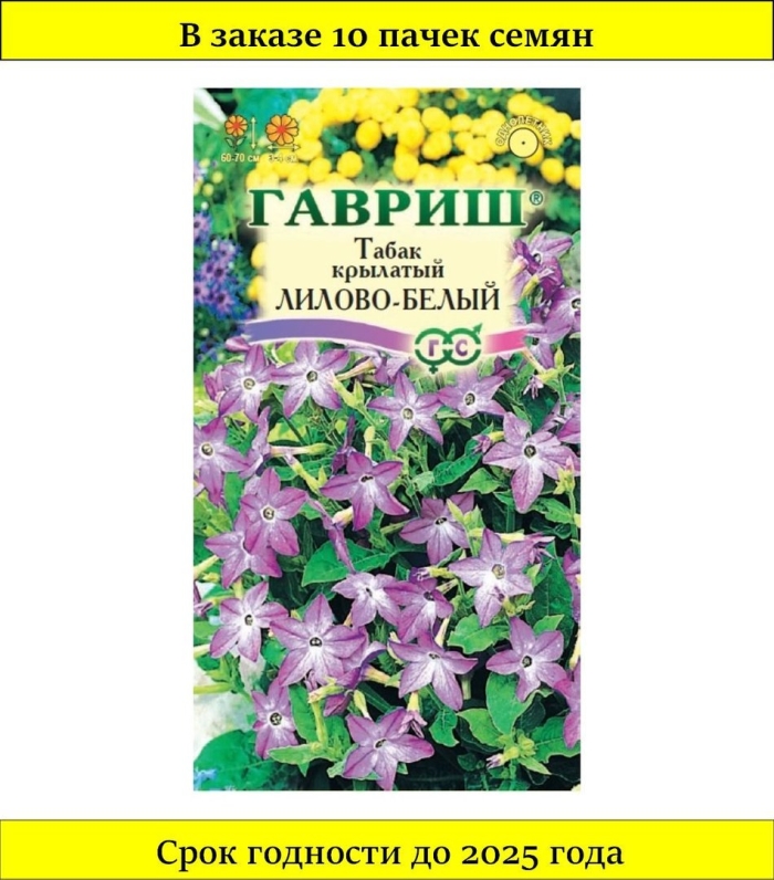 Гавриш табак душистый