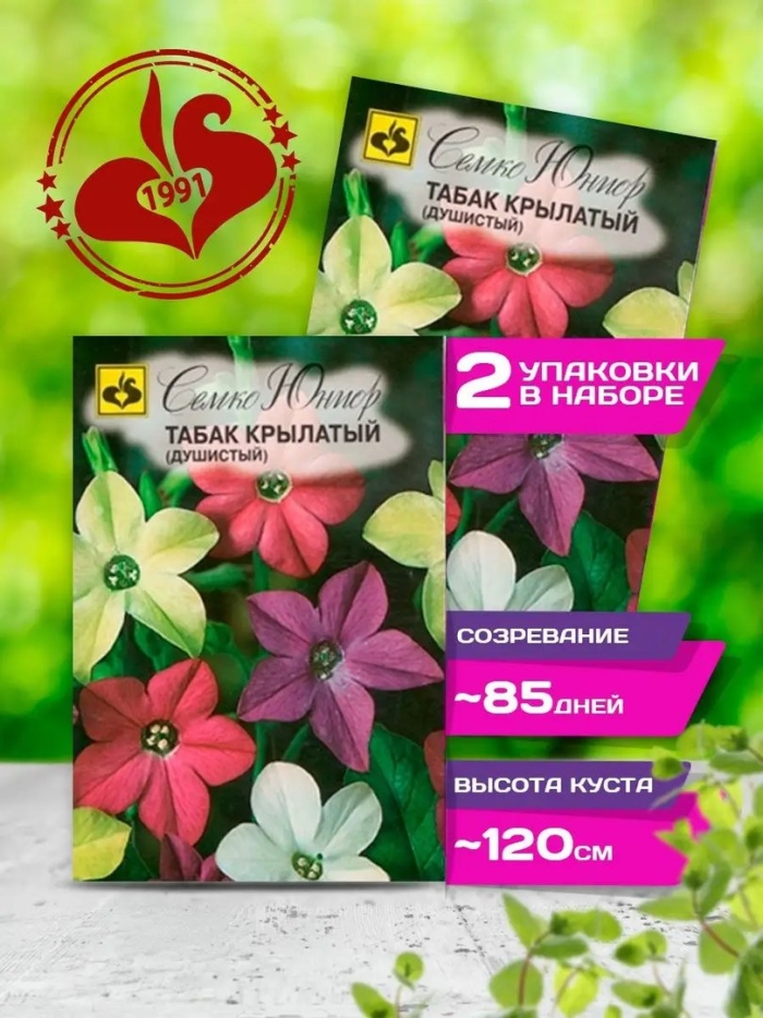 Семко табак крылатый