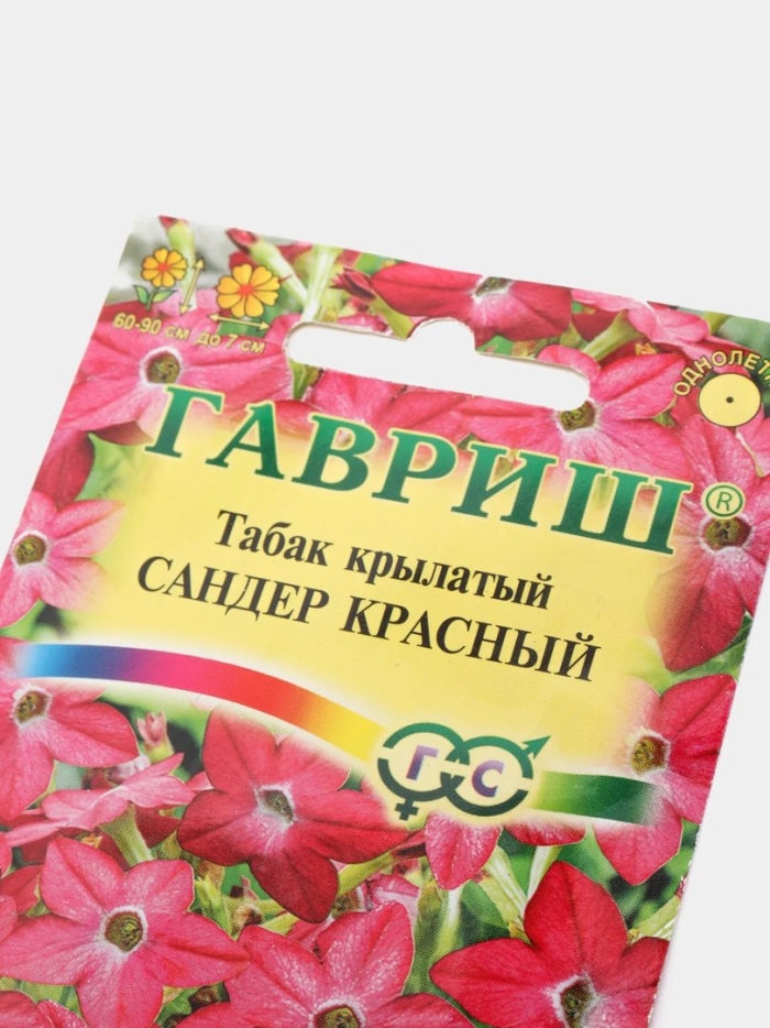 Табак крылатый сандер красный