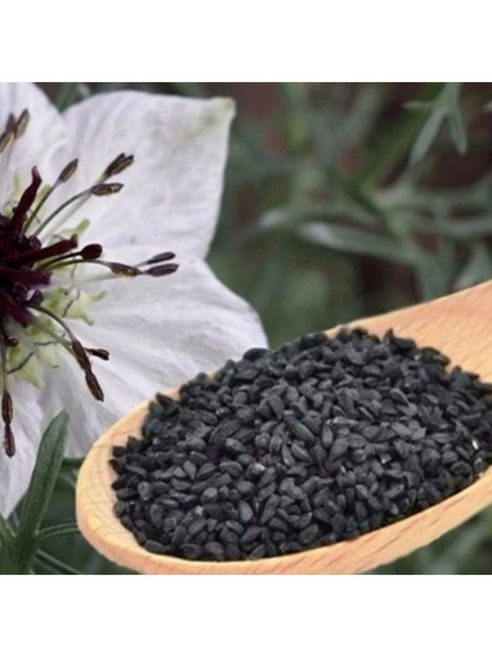 Нигелла восточная жёлтая