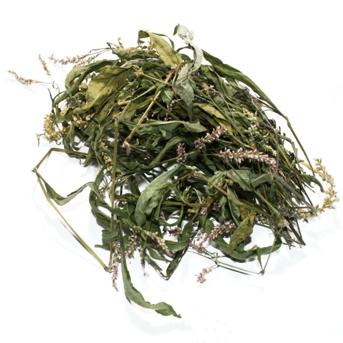 Горец перечный и почечуйный