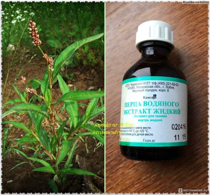 Экстракт водяного перца