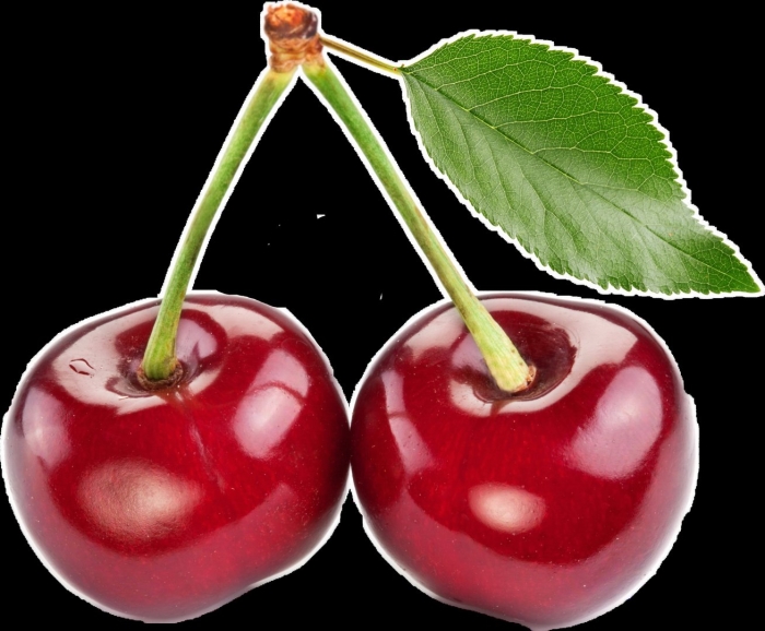 Черешня на прозрачном фоне