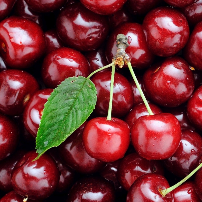 Вишня спелая