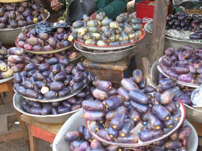 Дакриодес съедобный