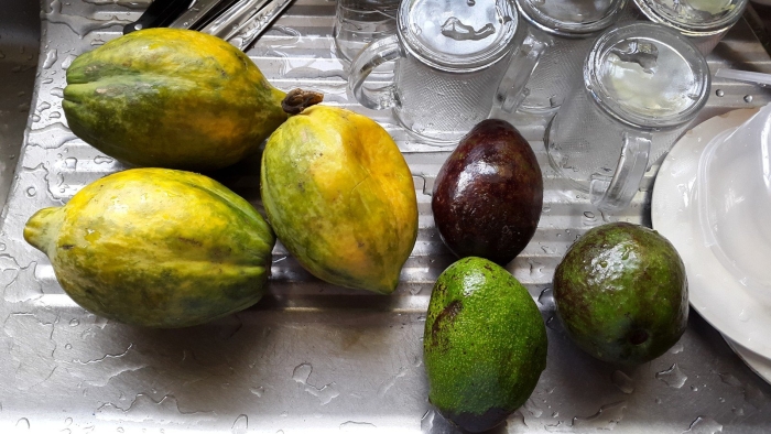 Экзотические фрукт